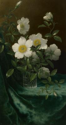 Cherokee Roses on Blue Velvet